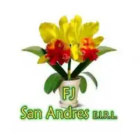 Anuncia en Línea | Publica tu Negocio Gratis y Aumenta tu Visibilidad - RUC 20568402228 - FJ SAN ANDRES E.I.R.L.